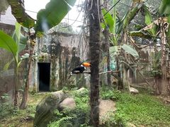 -杭州野生动物世界