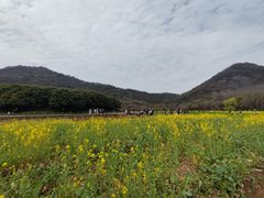 -八卦田遗址公园