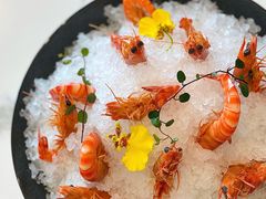 陈年花雕醉斑节虾-海味观(老西门店)