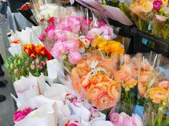 -溪岸路花鸟市场