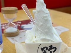 -野人先生Gelato(上海长宁龙之梦店)