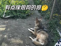 -成都动物园