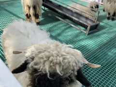 -水上乐园·欢乐世界