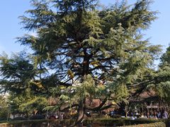 -汤山一号温泉度假区