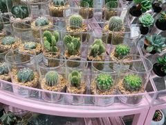 -KKV(深圳宏发大仟里店)