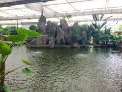 -汤山翠谷生态餐厅