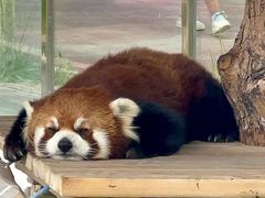 -水上乐园·欢乐世界