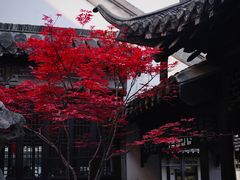 -何园
