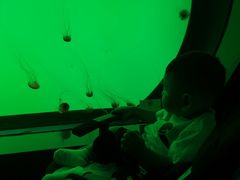 -沈阳海洋探索中心