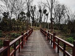 -白鹭湾湿地公园