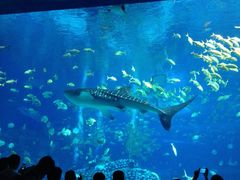 -广东省拱北口岸中国旅行社(华宾营业部)