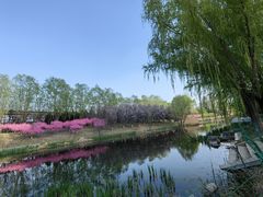 -大望京公园