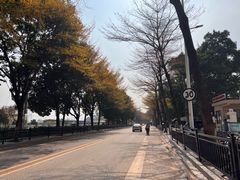 -长洲岛