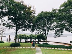 -上海滨江森林公园