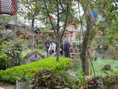 -青城甲(青城山店)