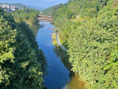 -广州市帽峰山景区