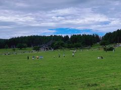 -武陵山森林公园