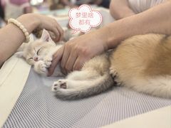 -万达广场(大明宫店)