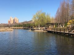 -前关湿地公园