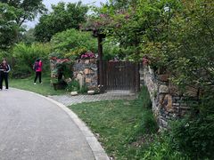-鹅湖玫瑰文化园