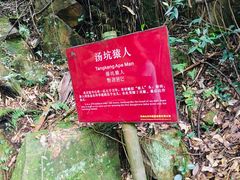-山沟沟景区