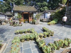 -寂照庵