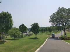 -南京枫彩漫城