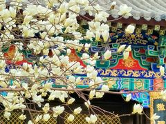 -护国法轮寺