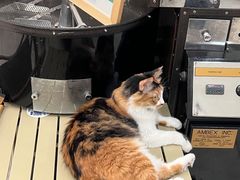 -玫瑰咖啡(中山六路店)