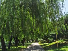 -廊坊市自然公园