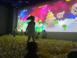 -多元宝贝世界(曲江彩虹谷店)