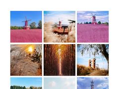 -羊亭河湿地公园