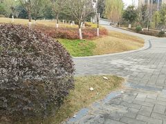 -塔子山公园