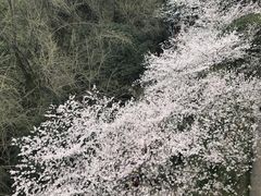 -沈记烧烤海鲜(江汉二路店)