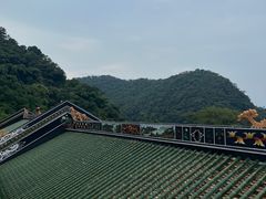 -鼎湖山风景区