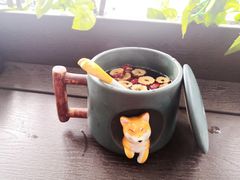 -柴犬高等学院·狗咖·柴犬售卖·宠物训练