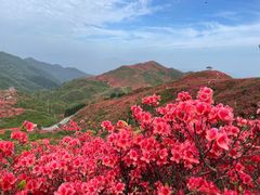 -大围山国家森林公园