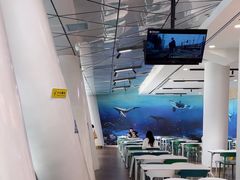 -贝林大翅鲸简餐厅(国家海洋博物馆店)