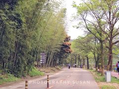 -广州市石门国家森林公园