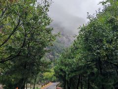 -少华山国家森林公园