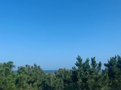-日照海滨国家森林公园