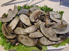 -爱膳菌锅锅(阳南店)