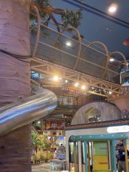 -卡通尼·Safari非洲探索乐园·生日会(金桥国际商业广场店)