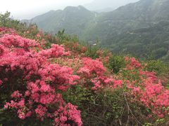 -木兰云雾山