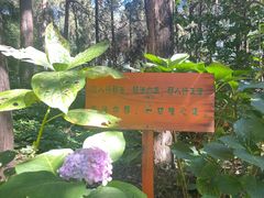 -寂照庵