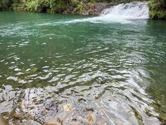 -永州阳明山国家森林公园