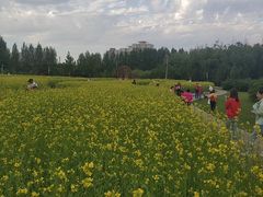 -长春公园(普阳街道)