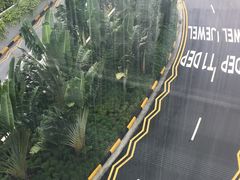 -圣淘沙天际线斜坡滑车