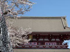 -浅草寺