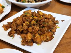 渣渣土豆-三猫黑鱼花(南大店)